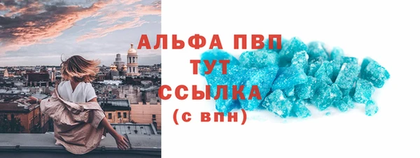 гашик Алексеевка