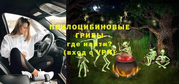 гашик Алексеевка