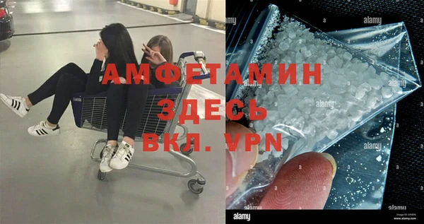 гашик Алексеевка