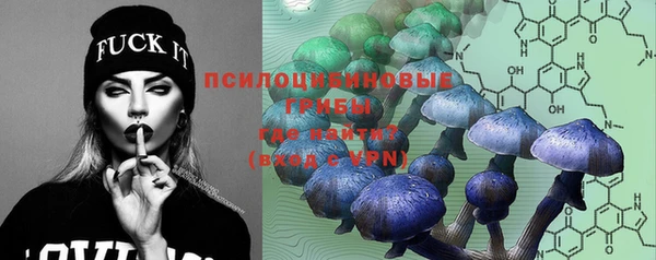 гашик Алексеевка