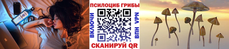 Псилоцибиновые грибы Psilocybe  Андреаполь 